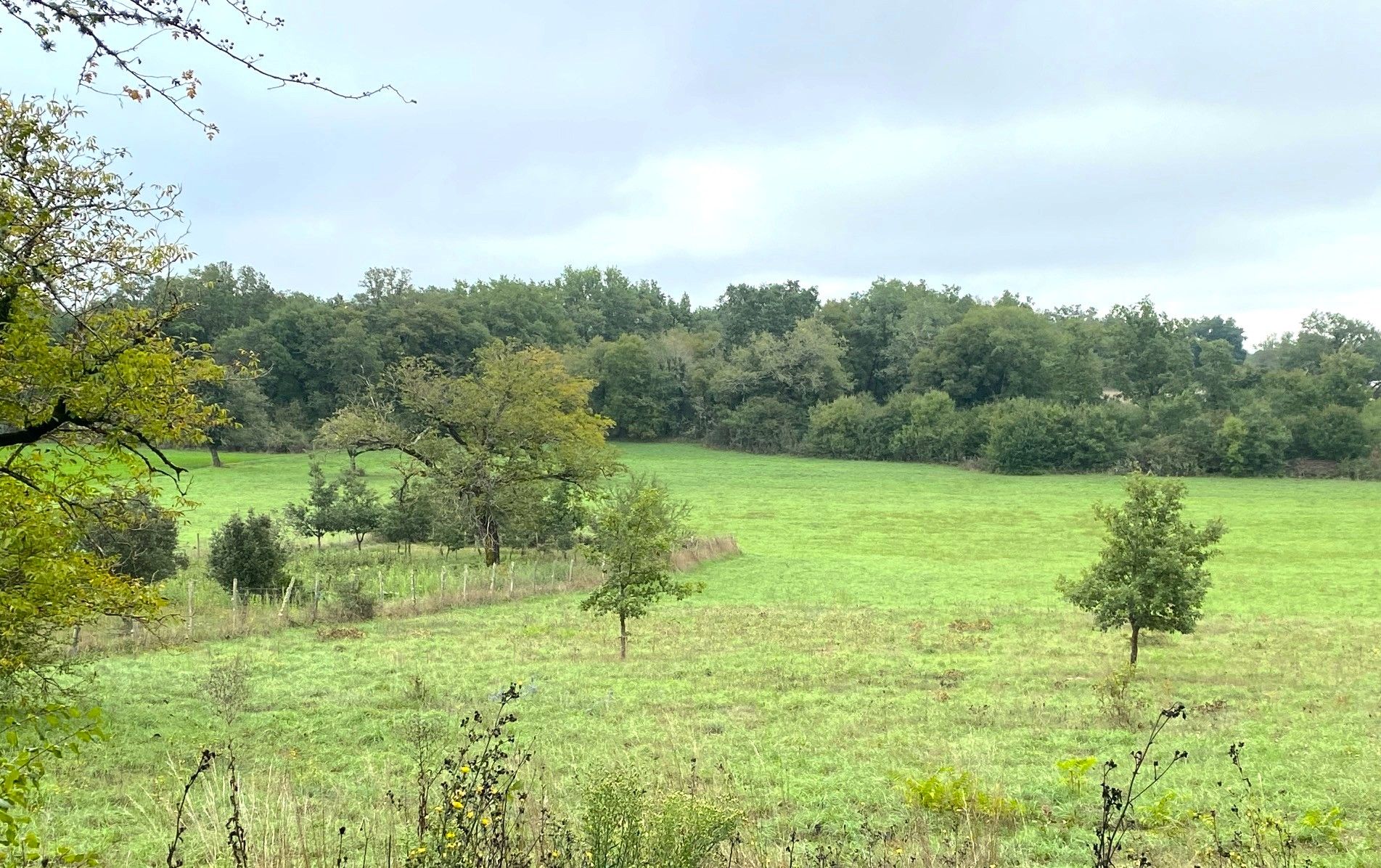 Boucle des orchidées, Brouchaud - photo 4