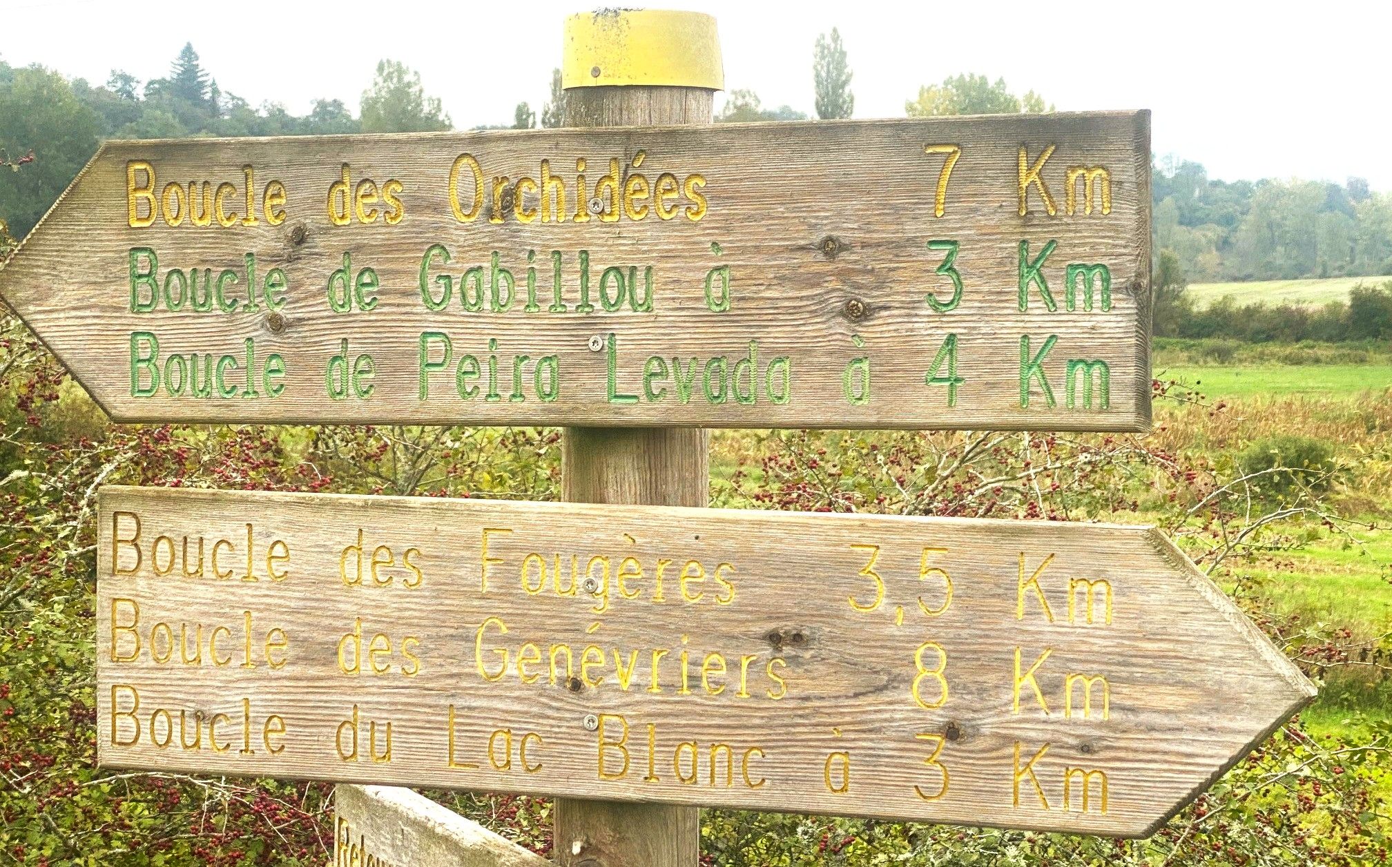 Boucle des orchidées, Brouchaud - photo 5