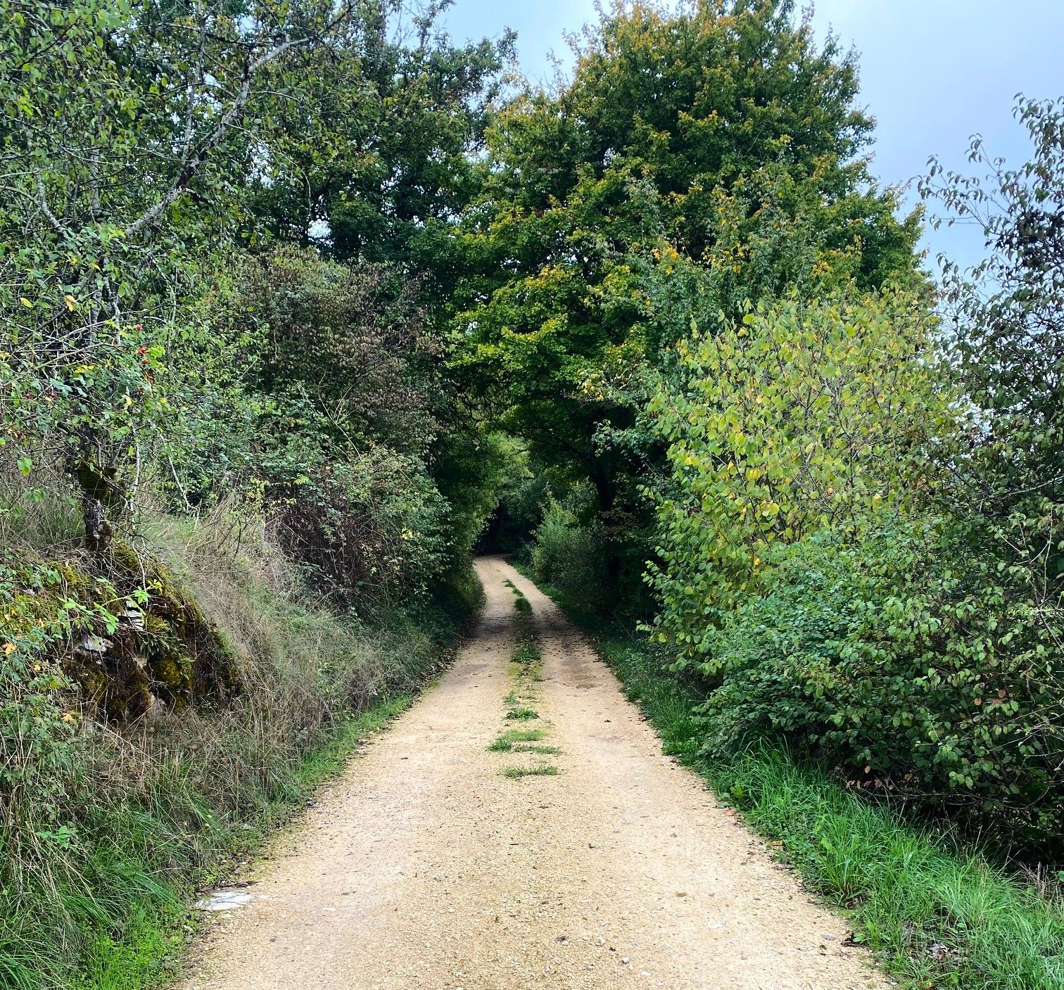 Boucle des fougères, Brouchaud - photo 3