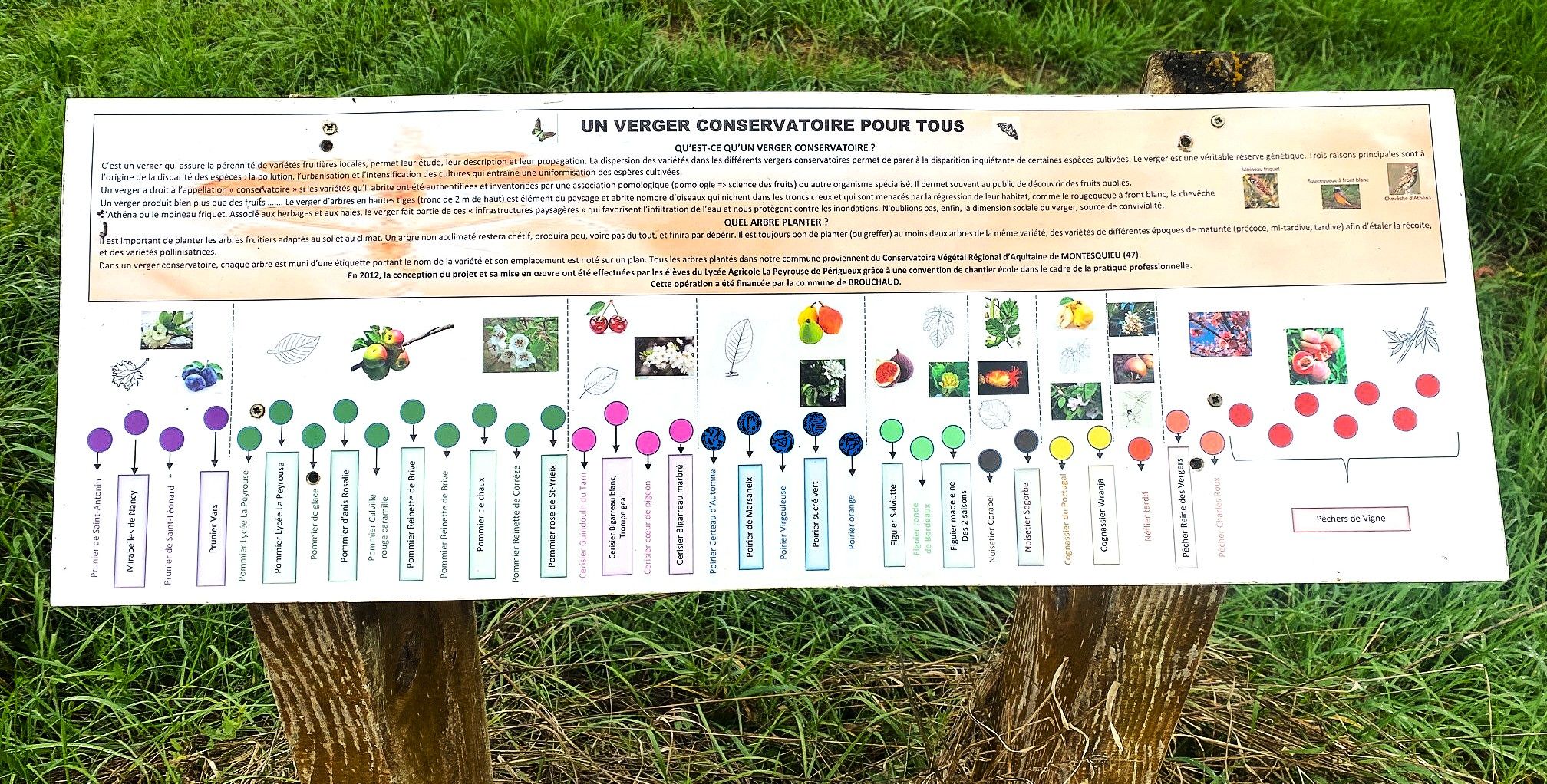 Boucle des fougères, Brouchaud - photo 6