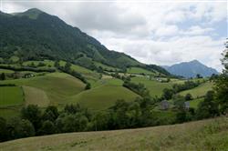 BRU_1243b