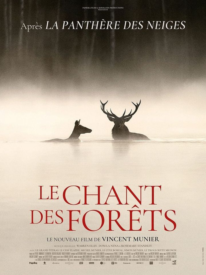 Cinéma à Bugeat : Le chant des forêts