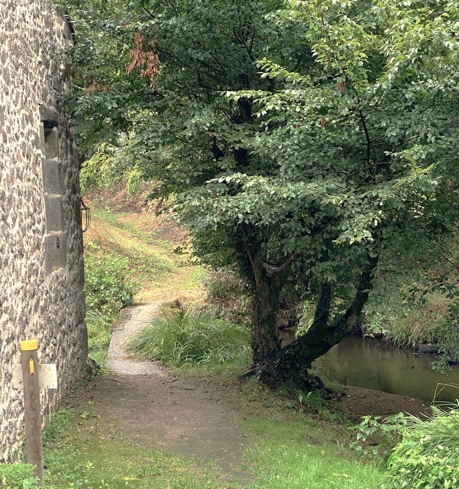 Boucle du Buisson, Busserolles - photo 7