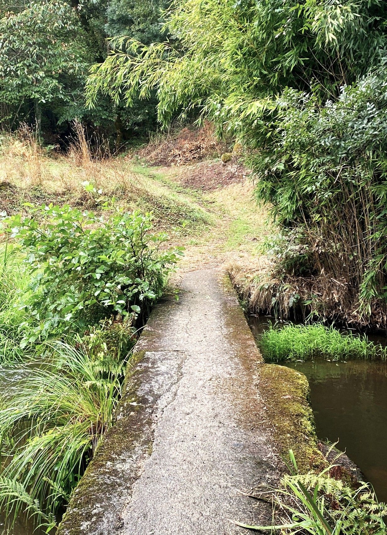 Boucle du Buisson, Busserolles - photo 5