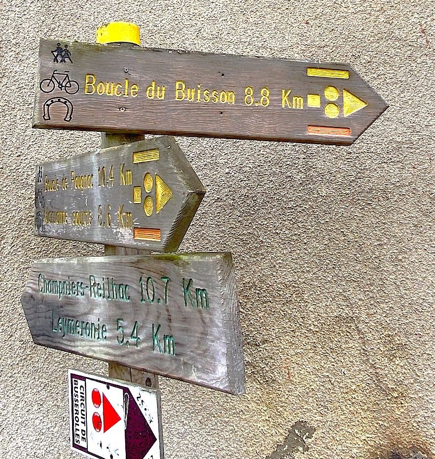 Boucle du Buisson, Busserolles - photo 3