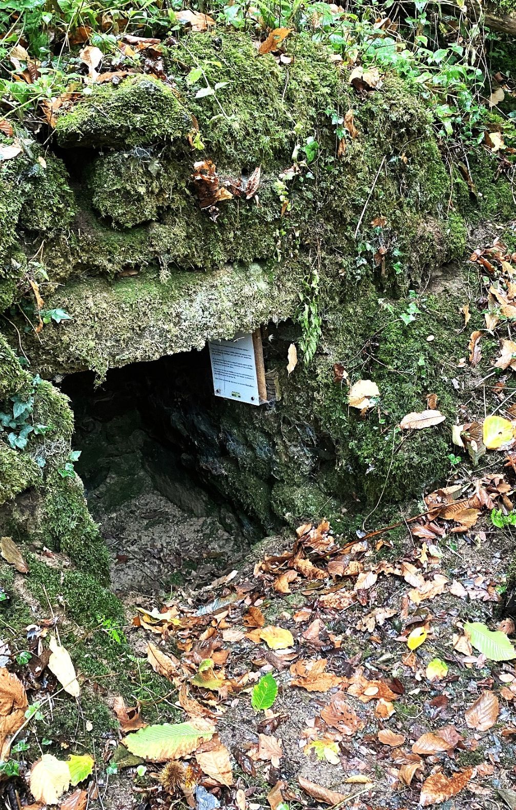 Boucle du Buisson, Busserolles - photo 4