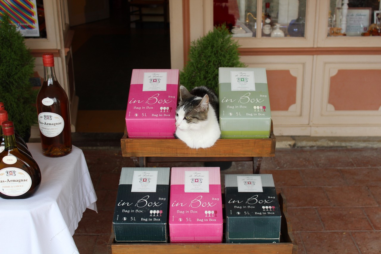 Ferme de Labouc - photo 3