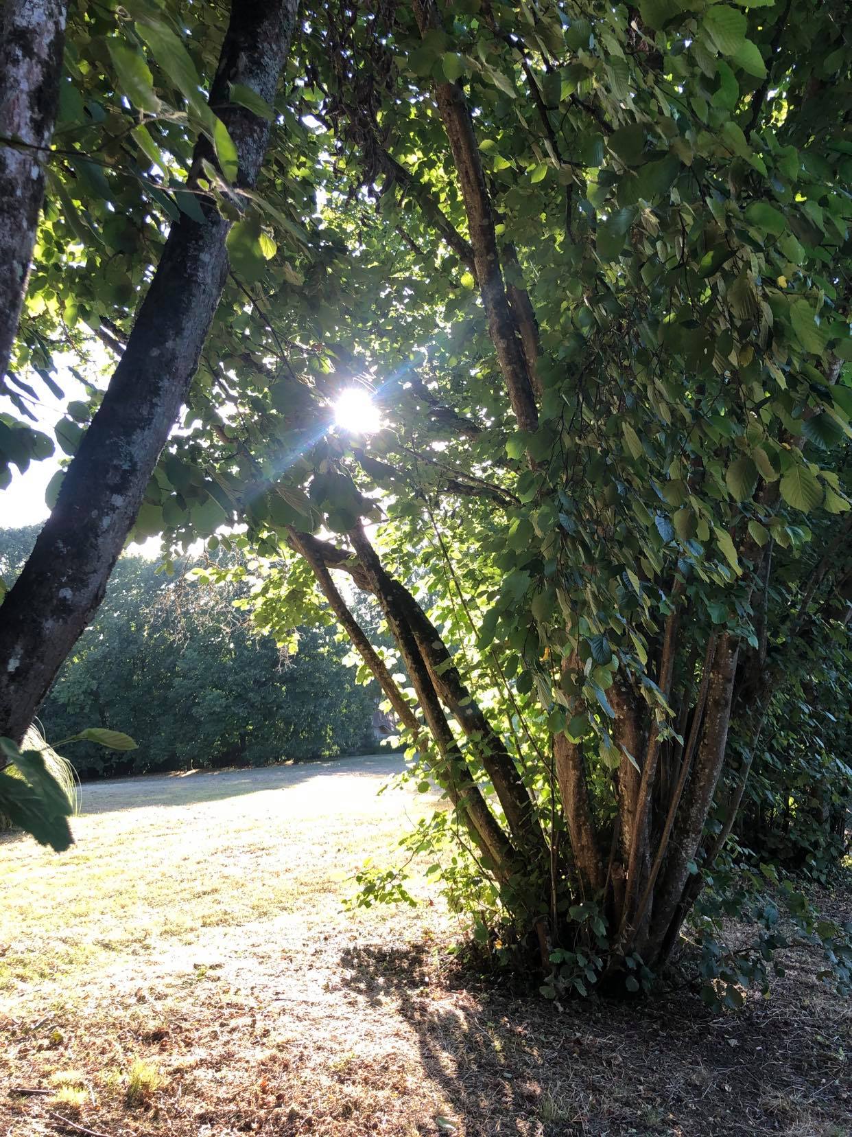 Parc communal Bardet à La Roche-Posay