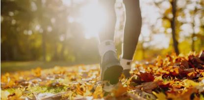 Balade patrimoine artisanal et commercial - bourg de Fenioux