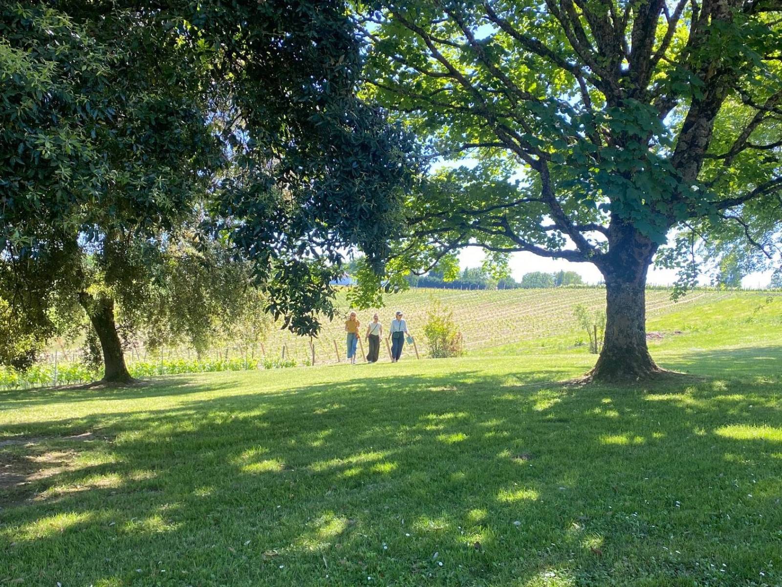 Bulle verte : balade paysagère au château Thieuley