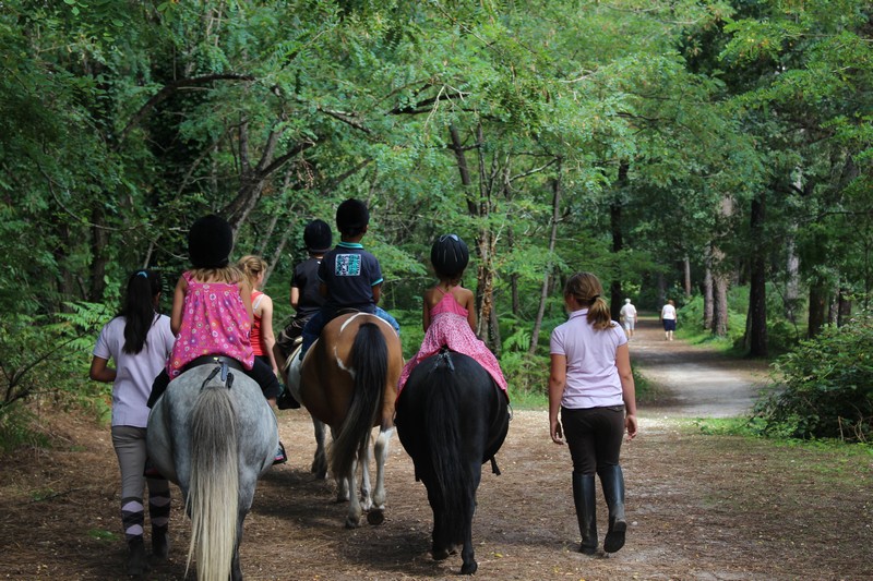 Ferme Califourchon - photo 2