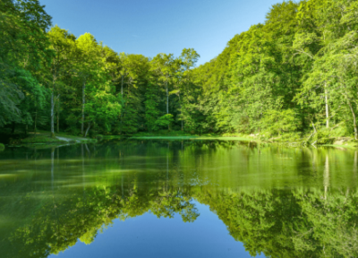 Sortie ornithologique au lac de Sargaillouse