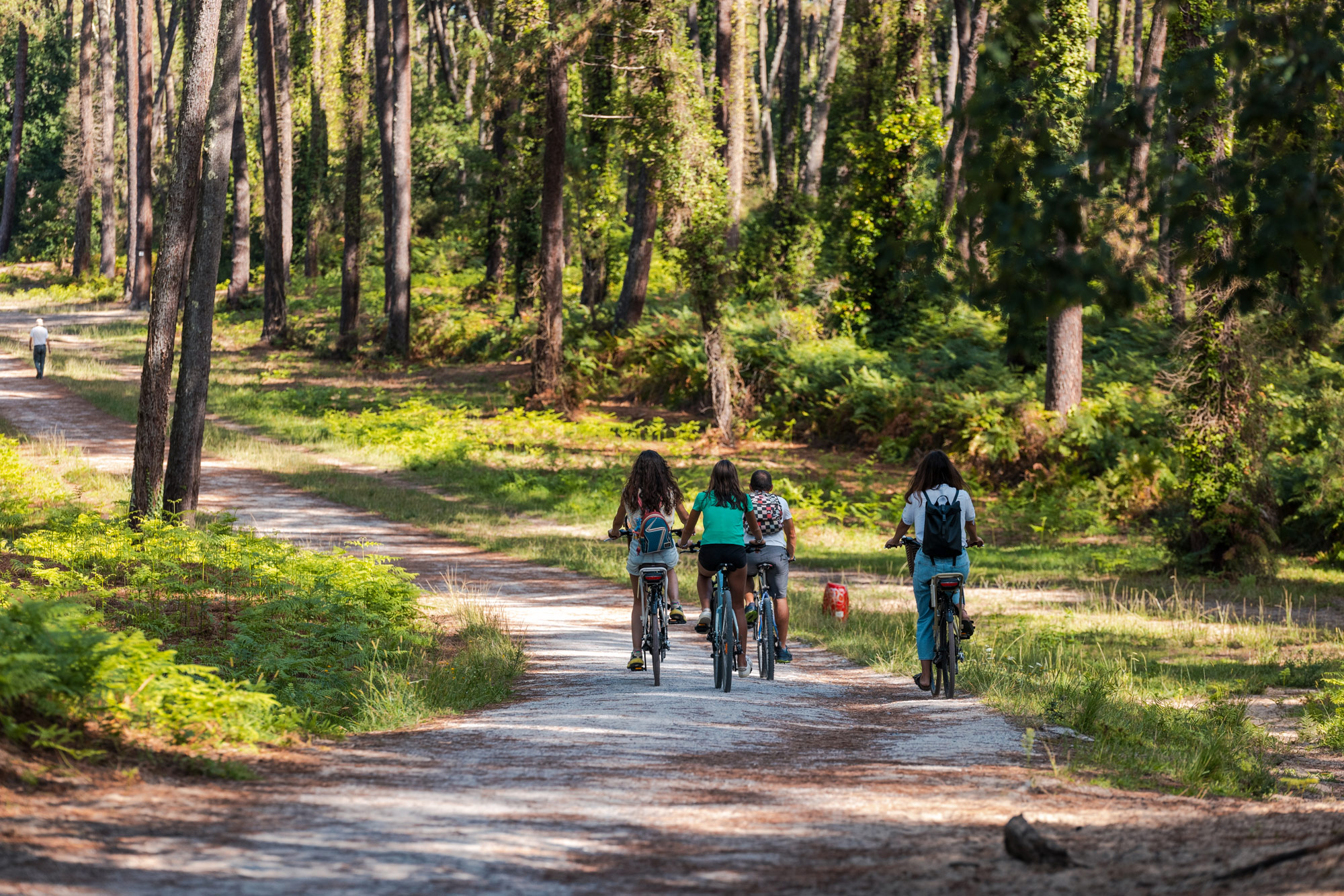 Balade entre golf et forêt