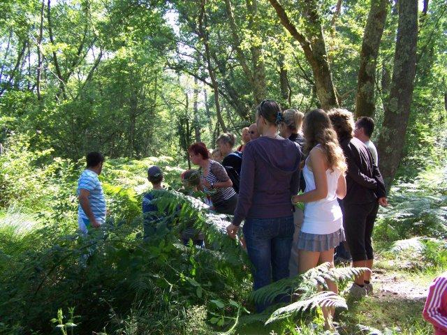 Balade nature en forêt Landaise — visuel événement