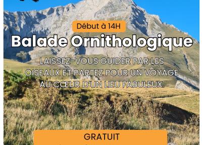 balade ornithologique
