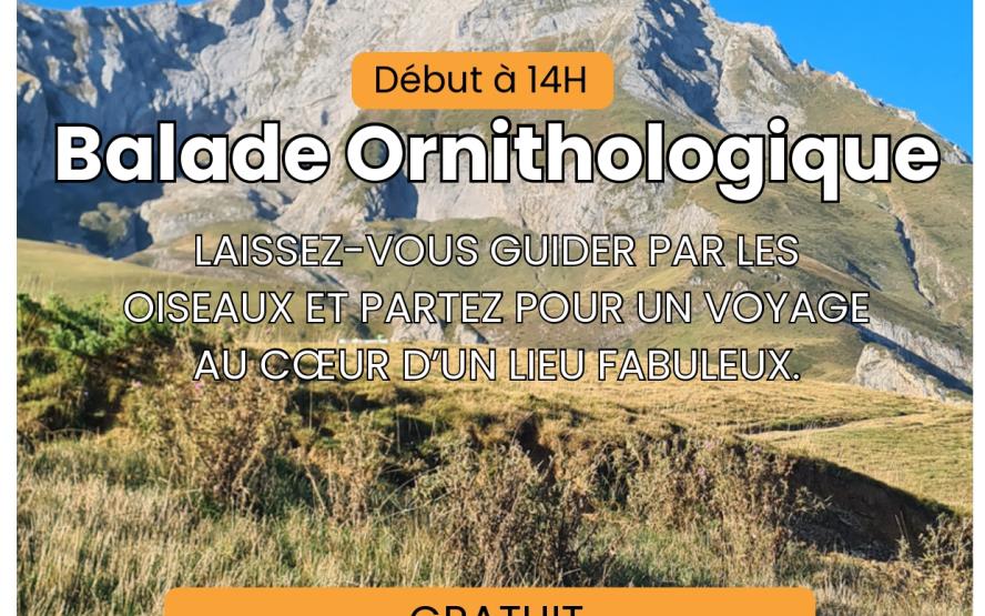 Image de présentation du lieu