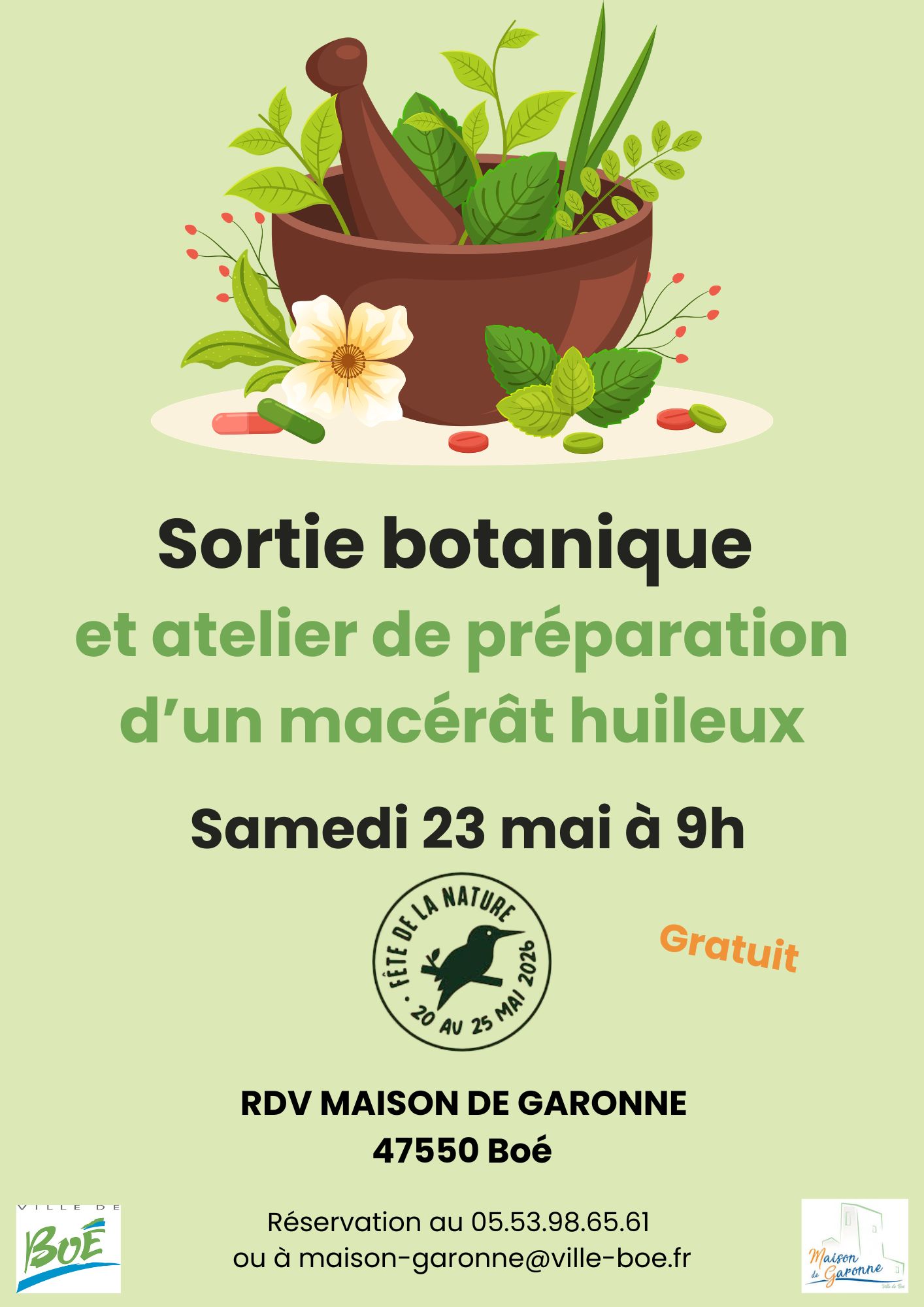 Sortie botanique et préparation d’un macérat huileux