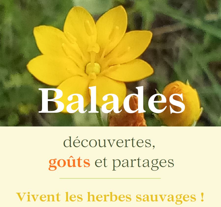 Le sentier des 5 sens au Domaine Les Hauts de Riquets balade gourmande