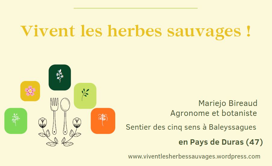 Le sentier des 5 sens au Domaine Les Hauts de Riquets balade gourmande, Baleyssagues - photo 16