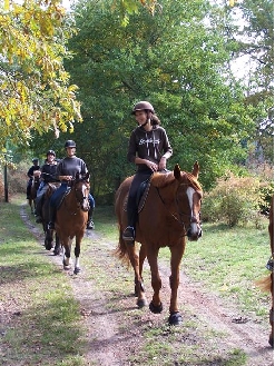Club hippique de Lavigne - photo 2