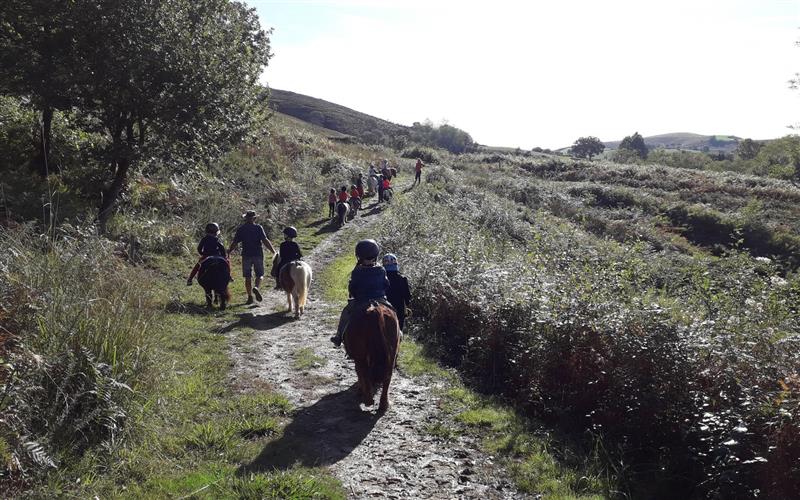 Balades à poney Ttikientzat