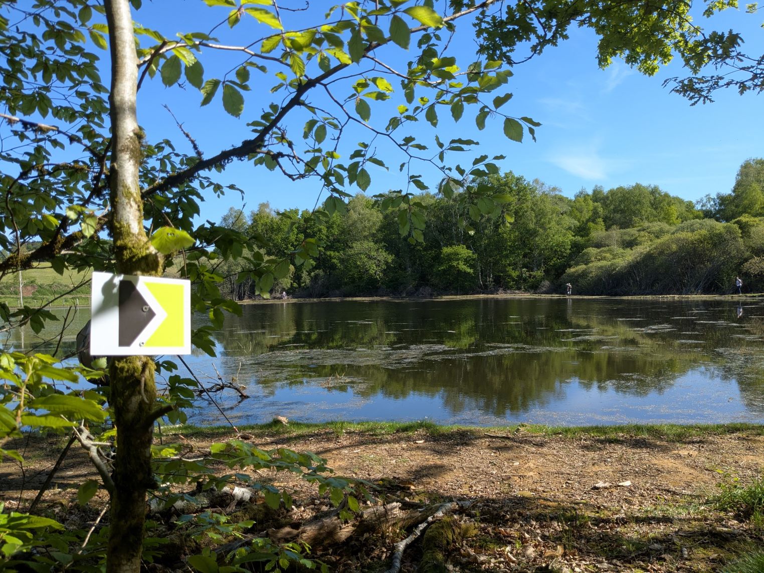 Trail de Treignac : La Pierre des Druides — photo 3