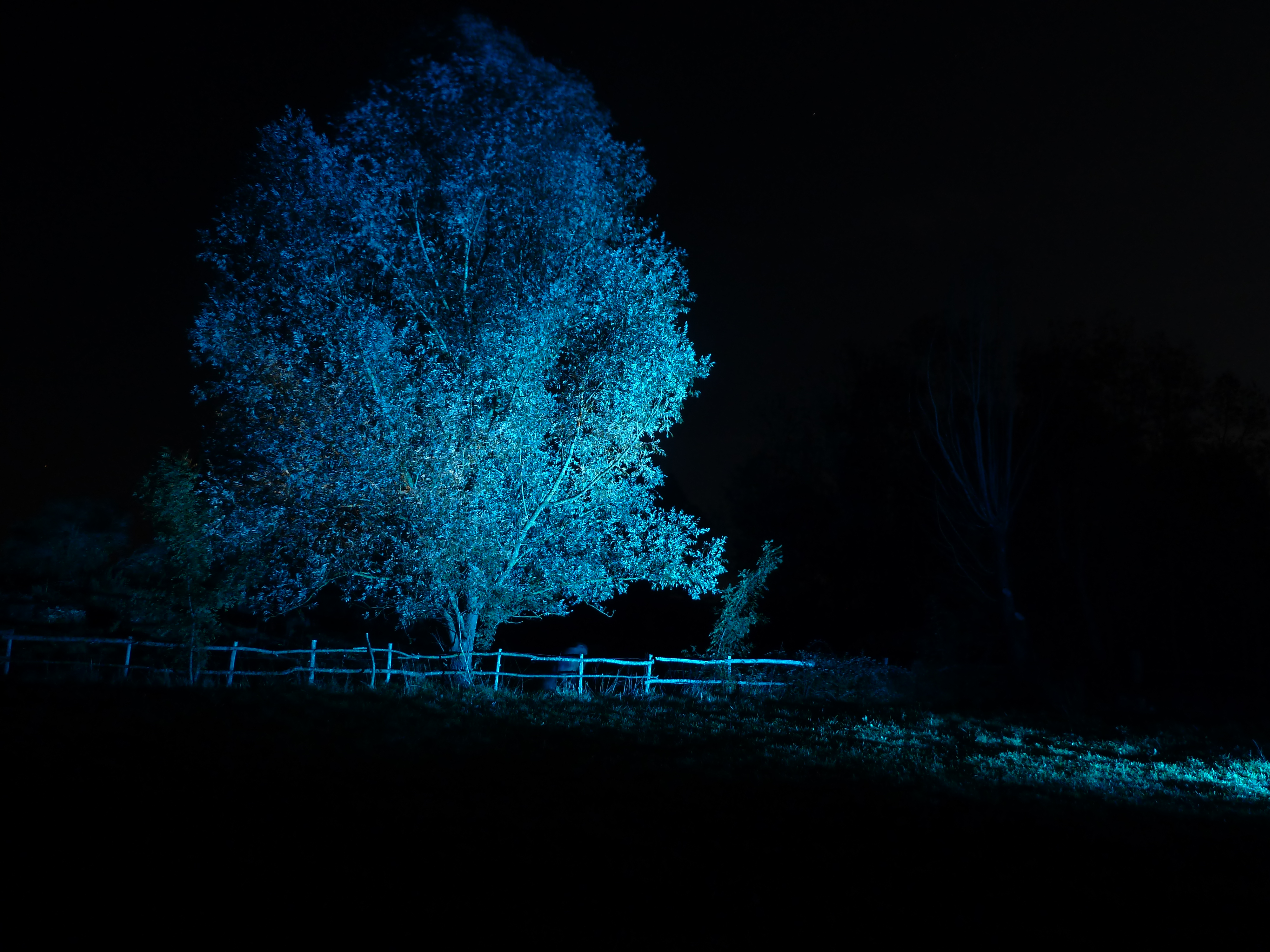 Les Ballades Féériques