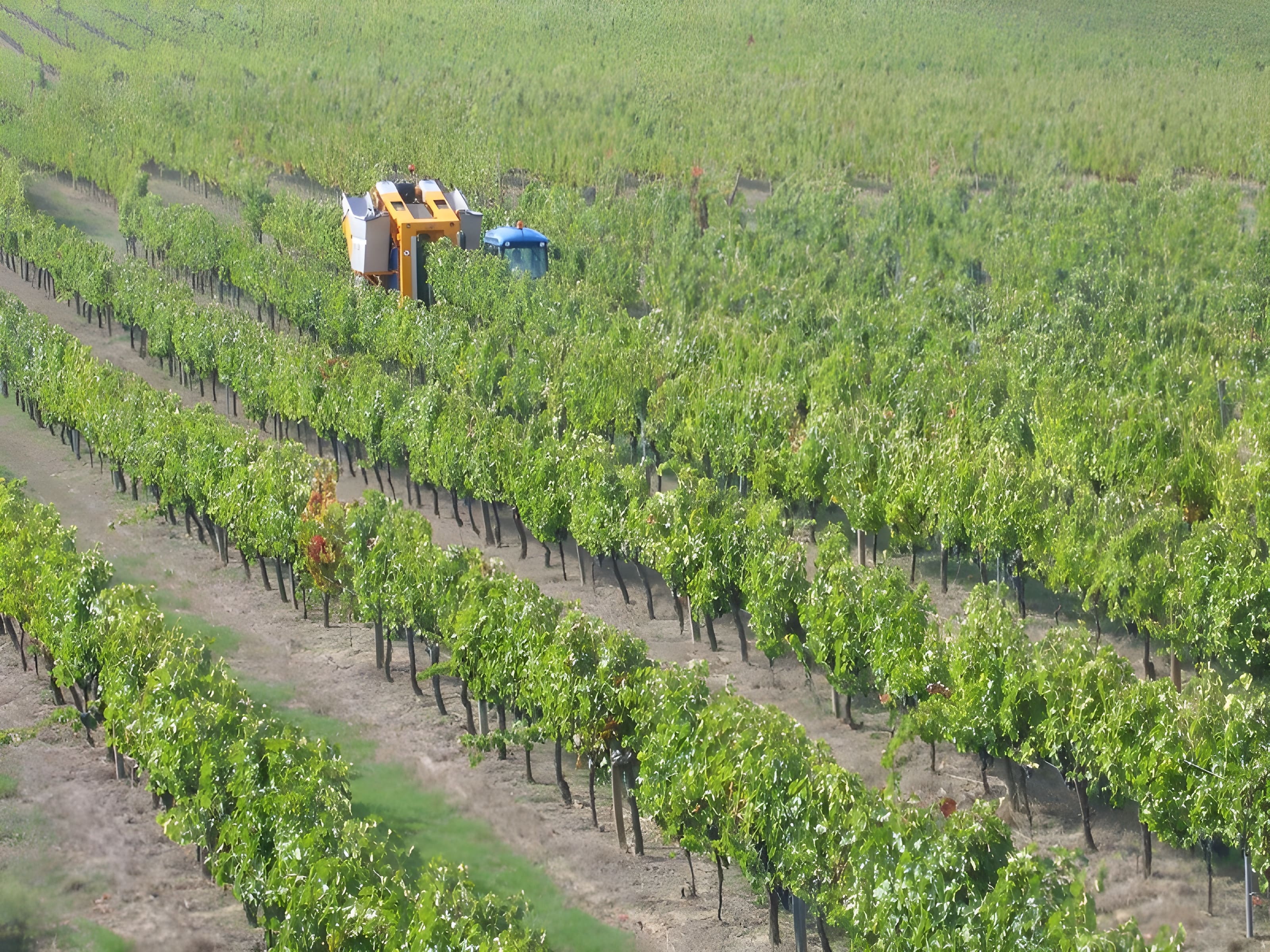 Château Ballan Larquette