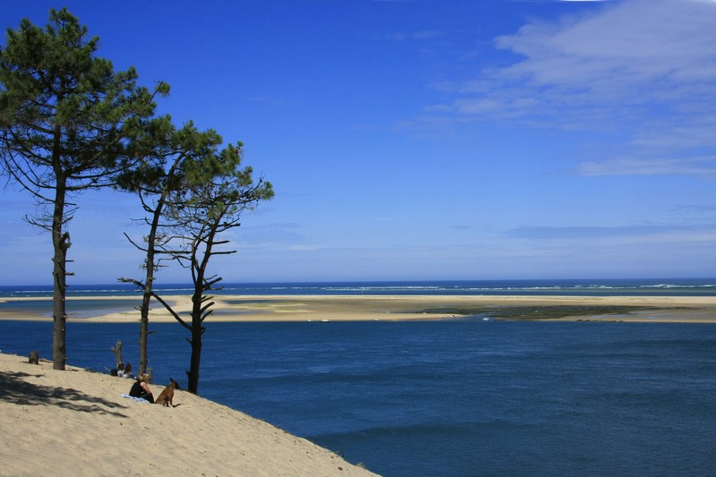 La réserve naturelle du Banc d'Arguin, La Teste-de-Buch - photo 3