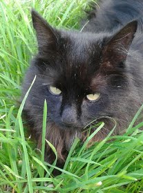 "Le Jardin des Paons" Béatrice et Roland BARGOZZA