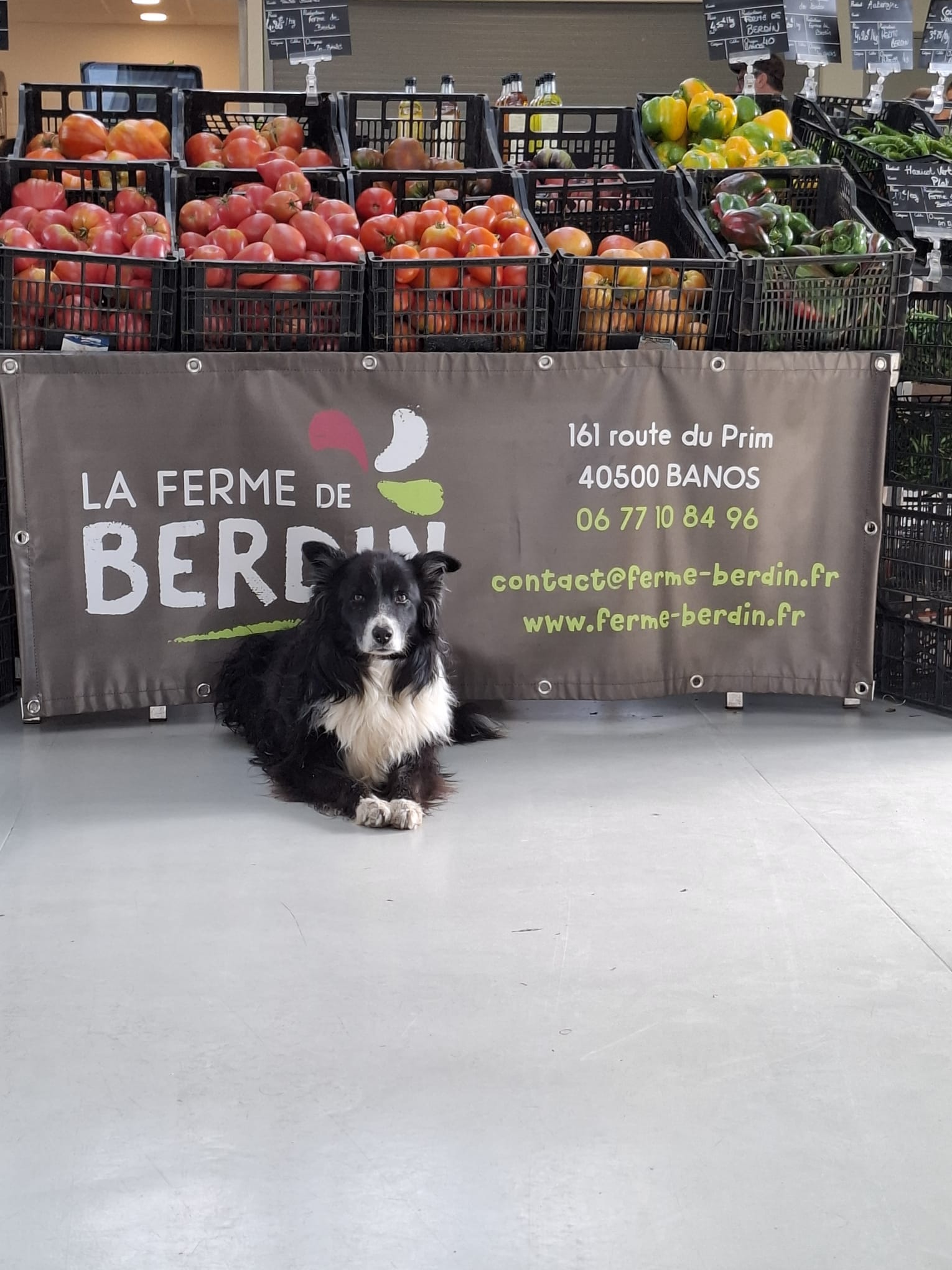 La Ferme de Berdin