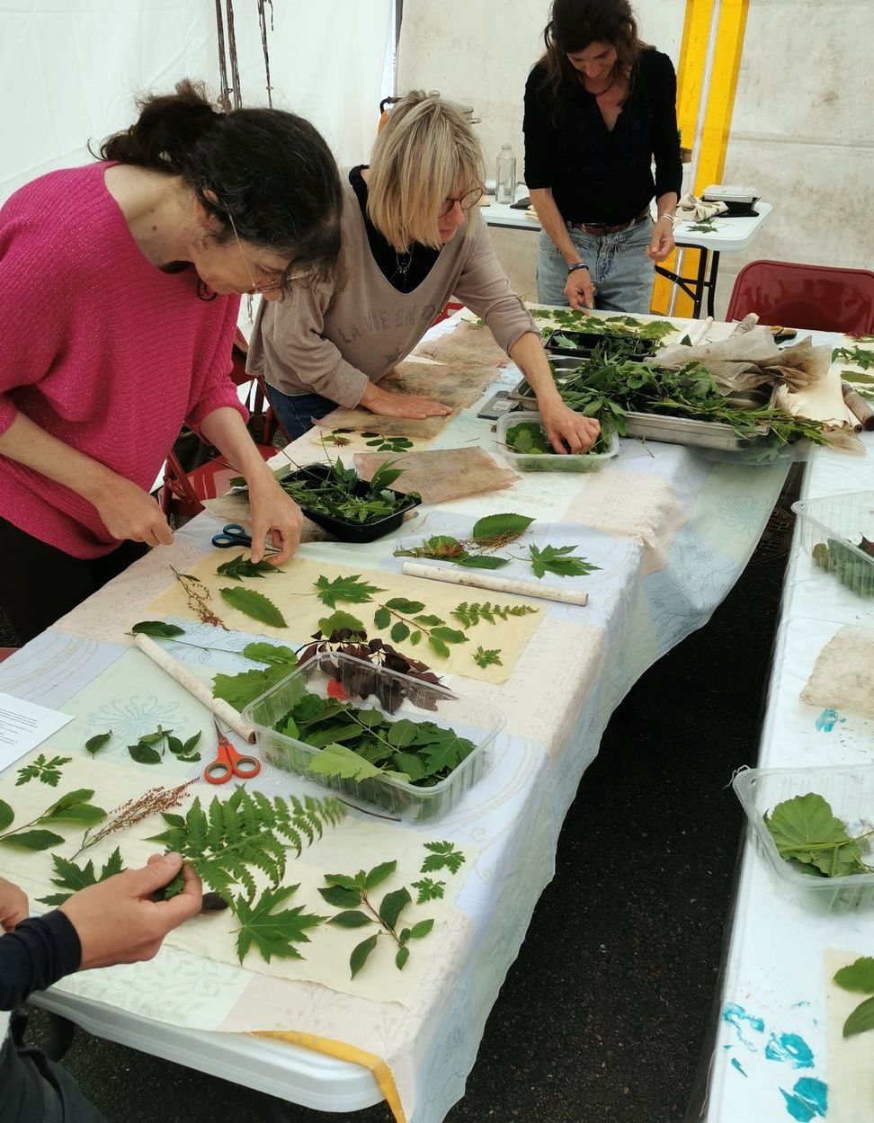 Atelier Baolin - Impression végétale sur tissus - photo 4