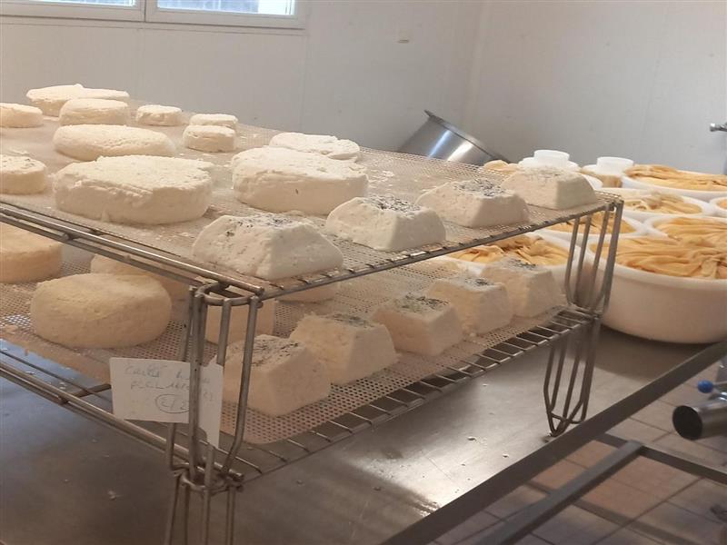 Fromages l'entre-deux