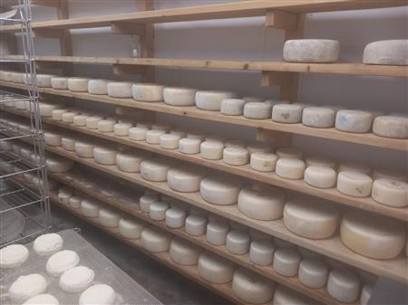 Les secrets du fromage à la maison, selon un fromager amateur