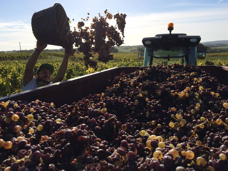 Château Barouillet - photo 2