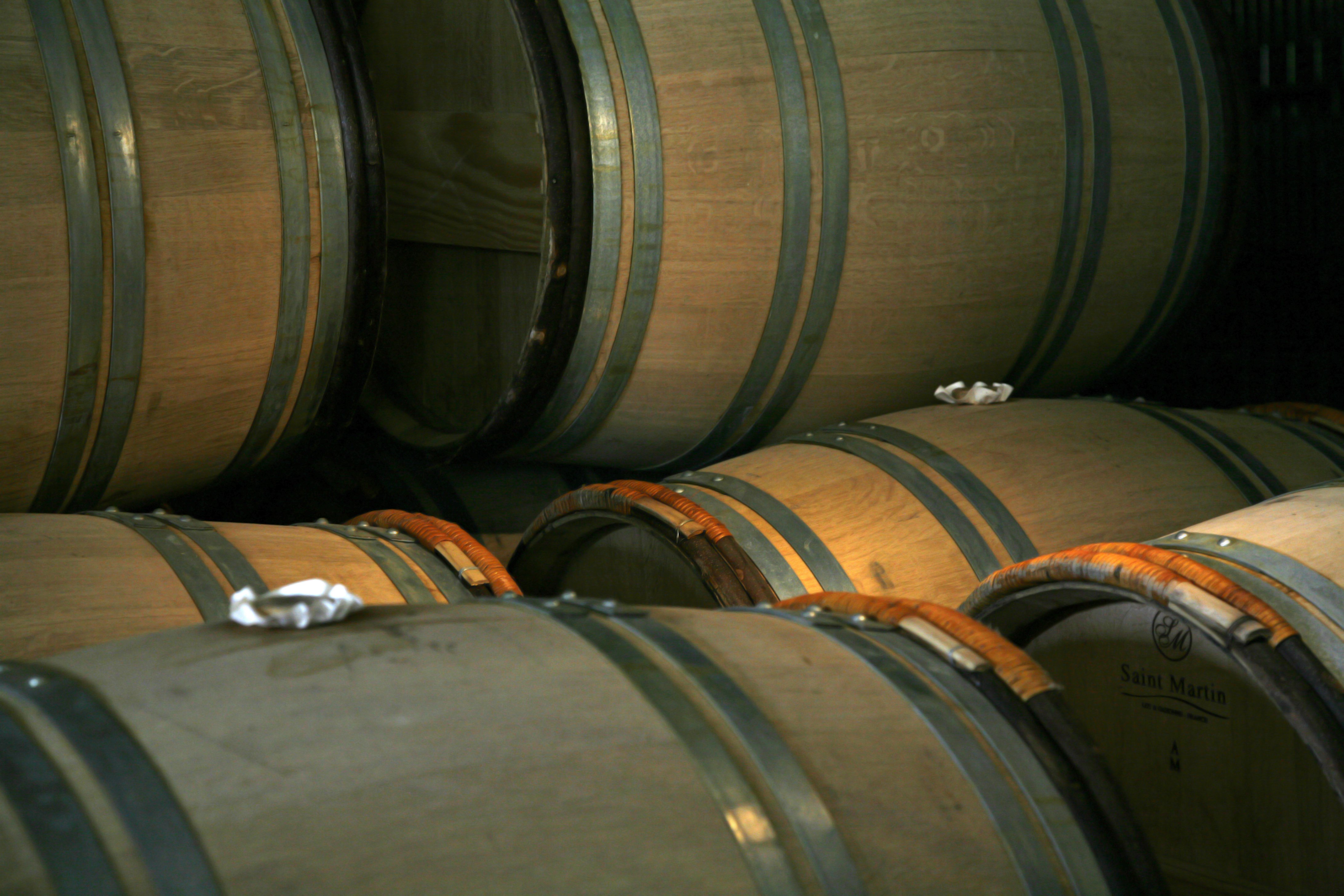 Château Guiraud - photo 4