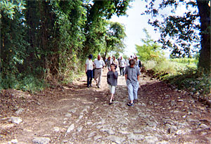 Voie gallo-romaine, Barsac - photo 2