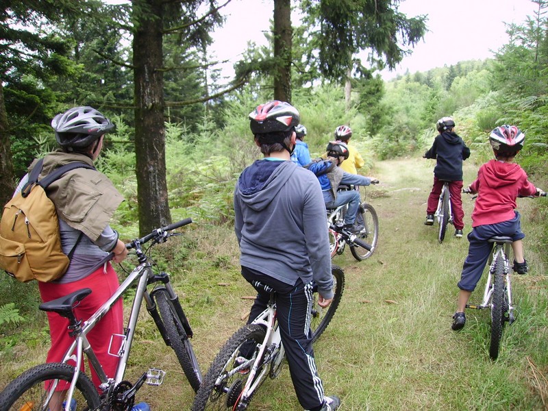 Espace VTT FFC des Monts de Blond, Vaulry - photo 5