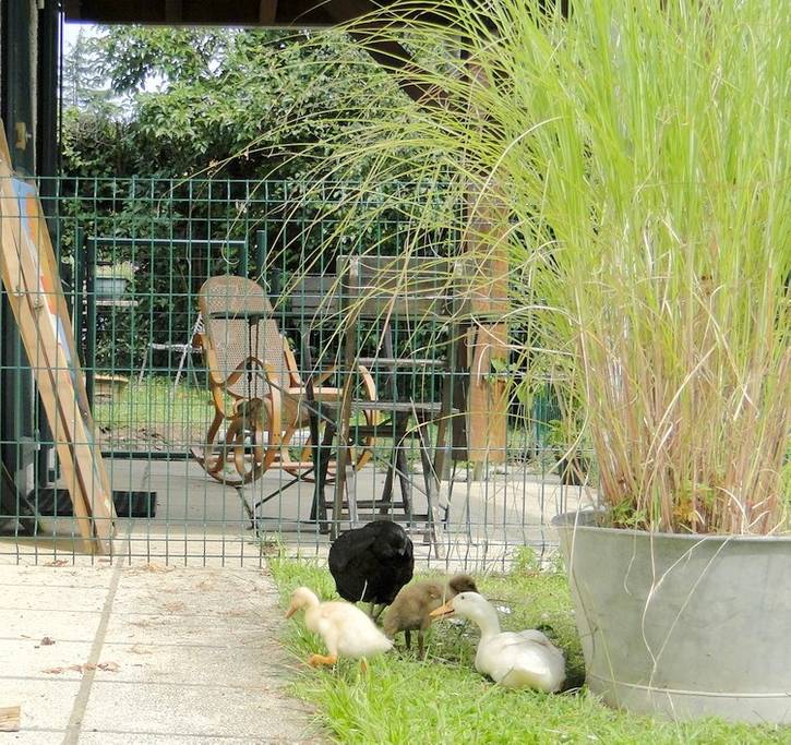 Basta Home, Port-de-Lanne - photo 3