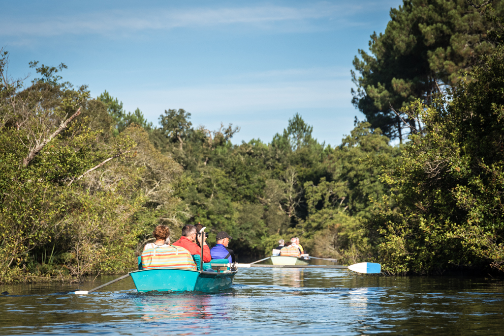 Les Bateliers du Courant d'Huchet