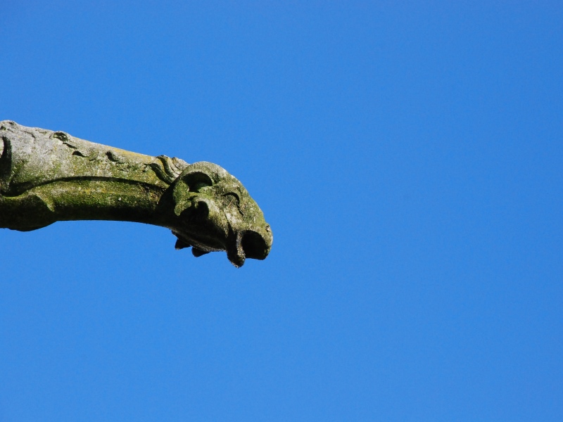 Cité médiévale de Bazas