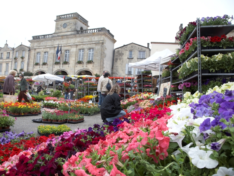 Marché aux fleurs de Bazas, Bazas - photo 6