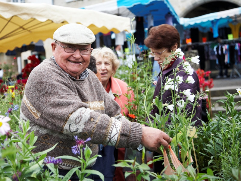 Marché aux fleurs de Bazas, Bazas - photo 7