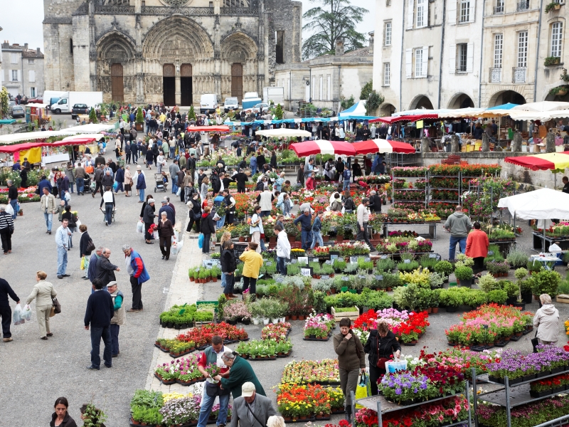 Marché aux fleurs de Bazas - photo 4