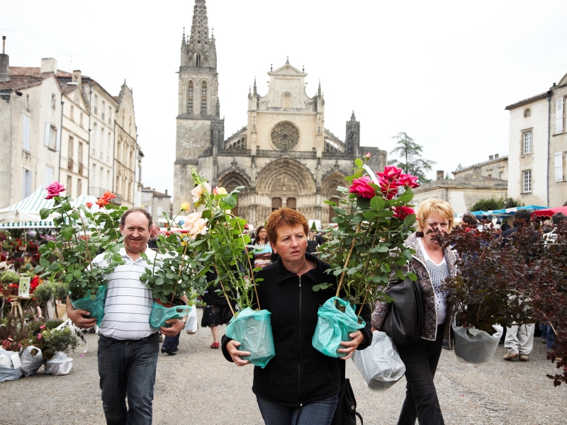 Marché aux fleurs de Bazas - photo 3