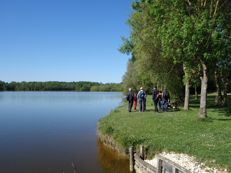 De Bazas au Lac de la Prade, Bazas - photo 3