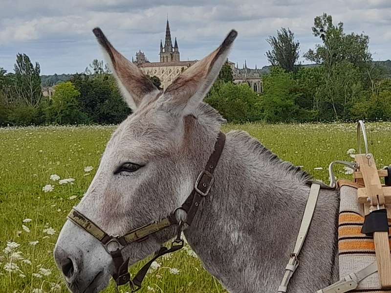 Sortie Yogânes, Escaudes - photo 3