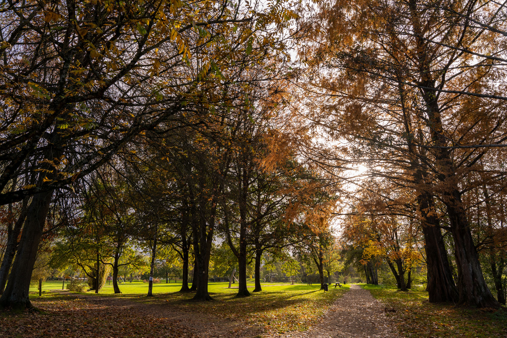 L'endurance, Parthenay - photo 17