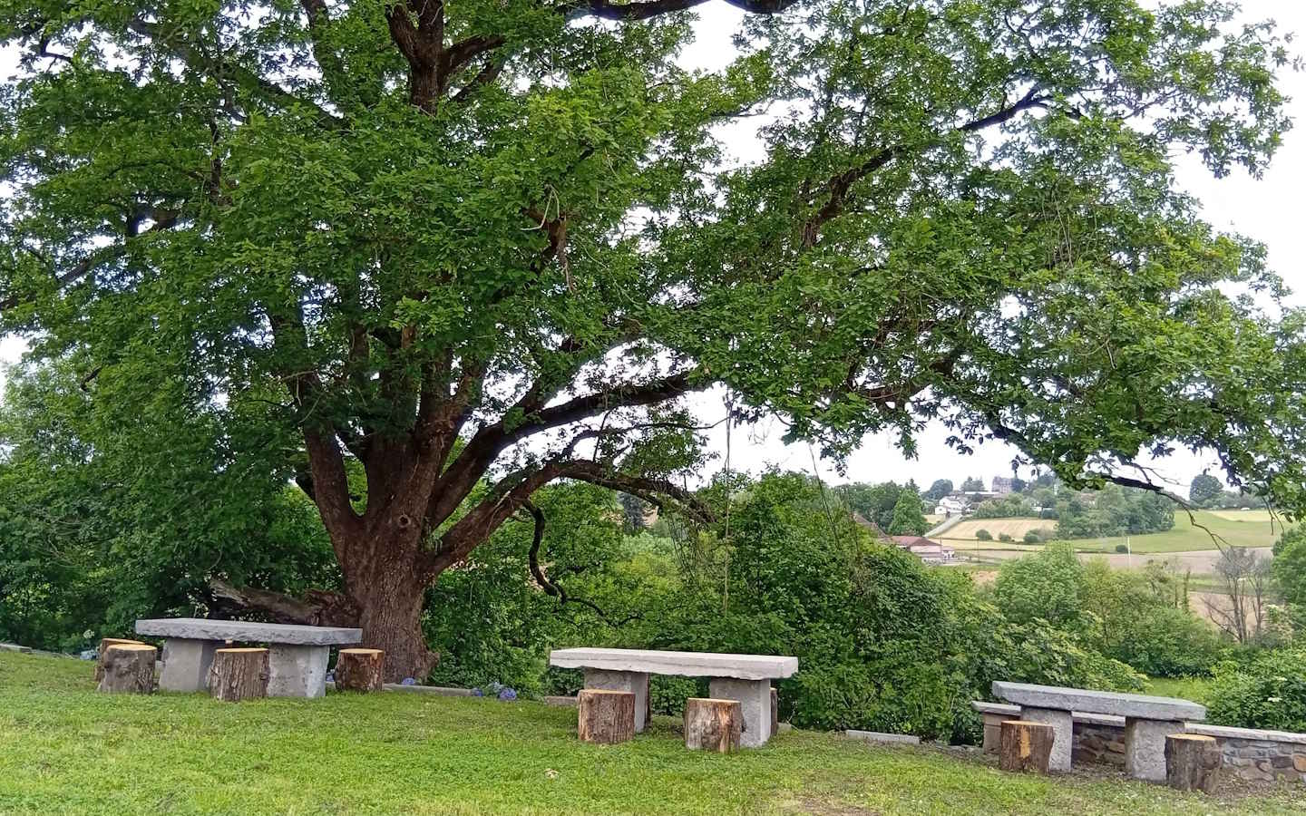 Gîte Bohoteguia, Aroue-Ithorots-Olhaïby - photo 6
