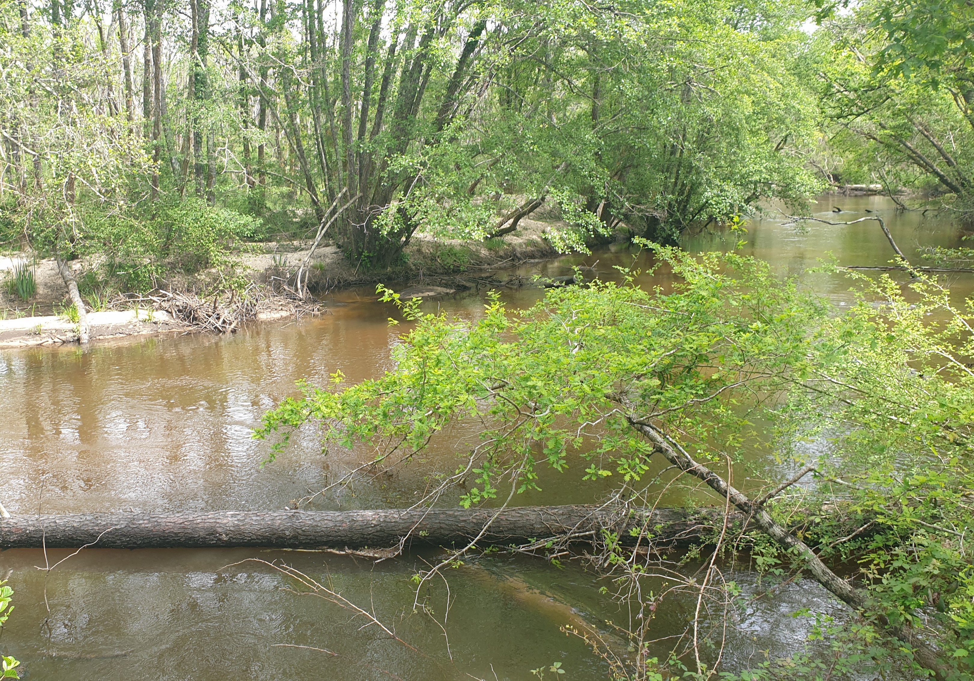 Le belvedère du Ciron